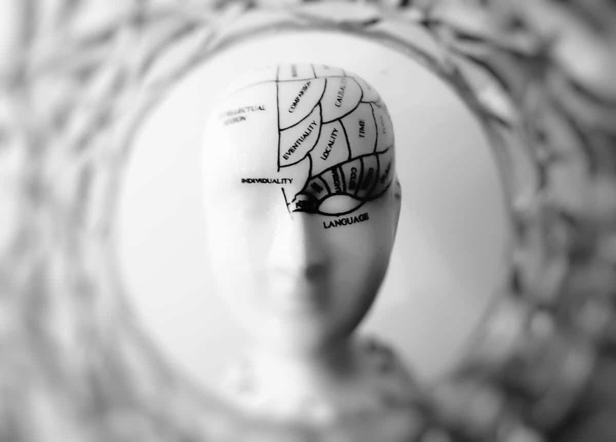 mémoire  cerveau