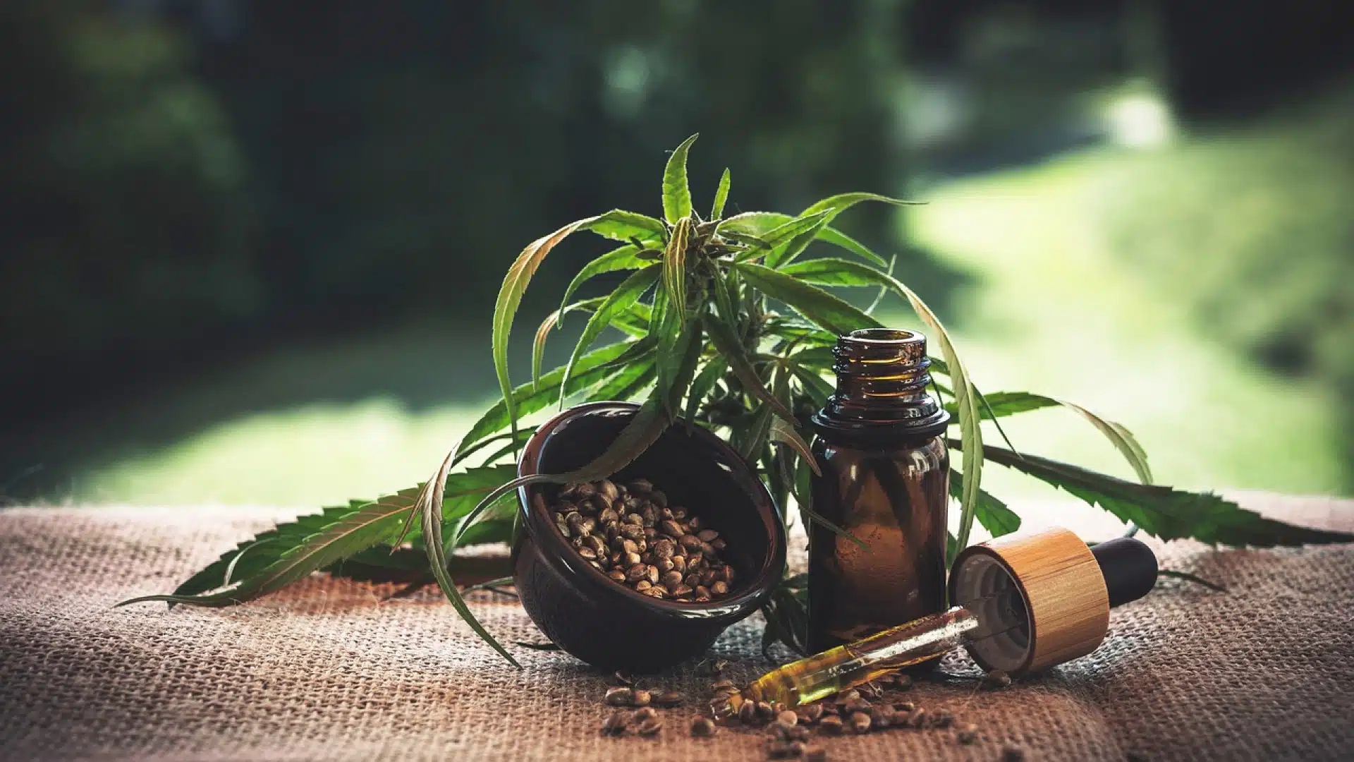 Où acheter des produits à base de CBD en France ?