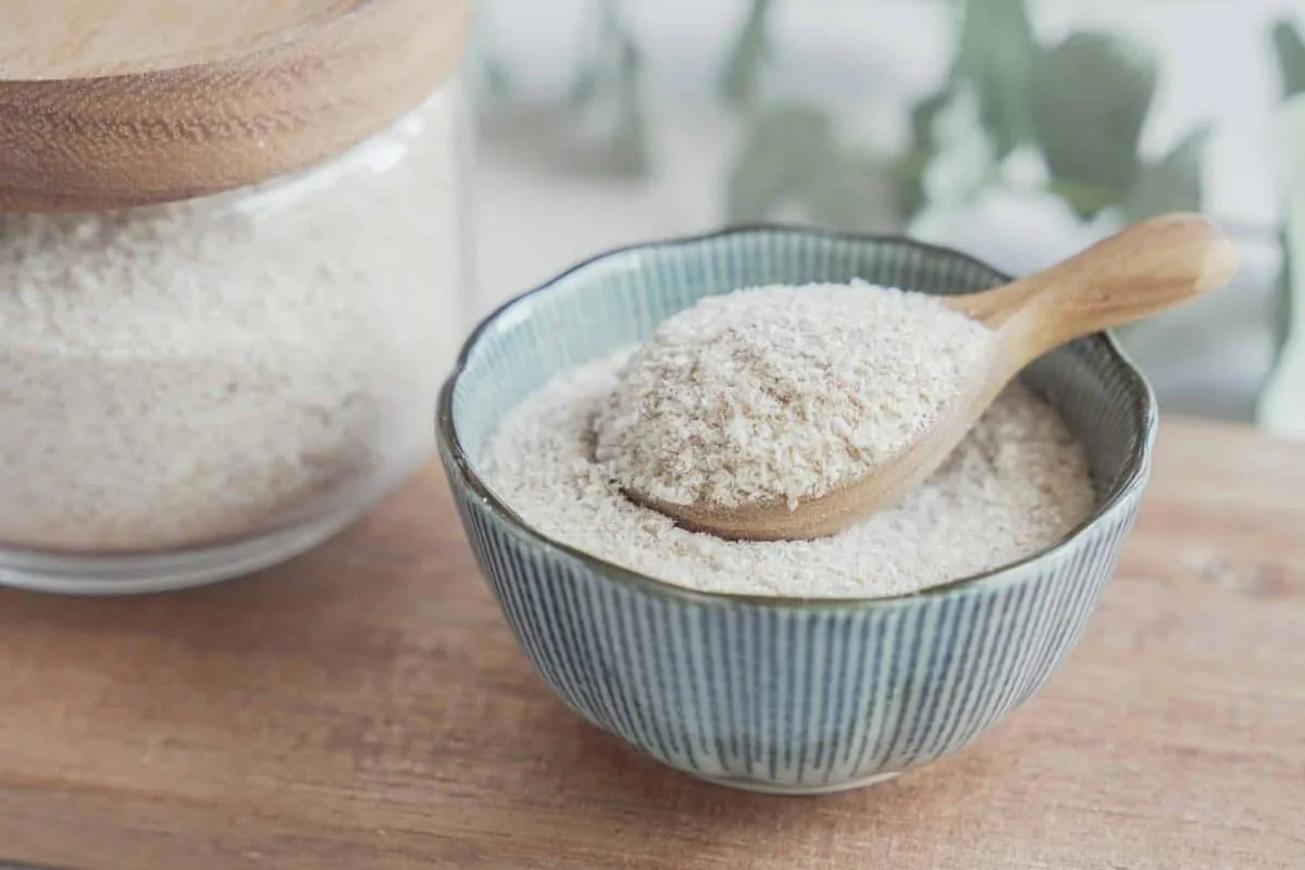 Psyllium blond bio en graines sur fond naturel