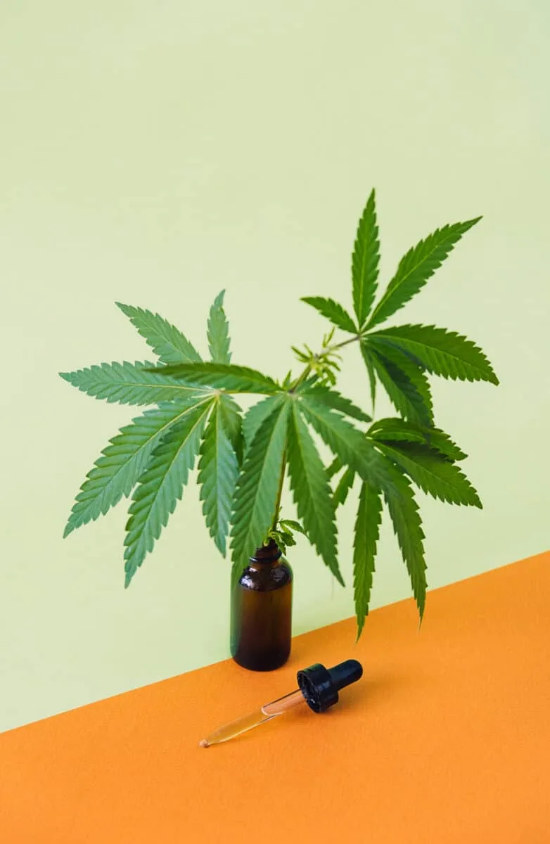 Huile de CBD et conseils pour une consommation sécurisée